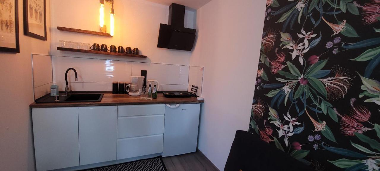 Apartamenty Pod Uwalonym Debem Jezow Sudecki Εξωτερικό φωτογραφία